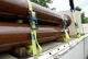SpanSet ABS LS LC2500 50mm double wire 6m  Preview picture 3