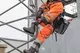SpanSet HD Bungee Tool Tether  Preview picture 3