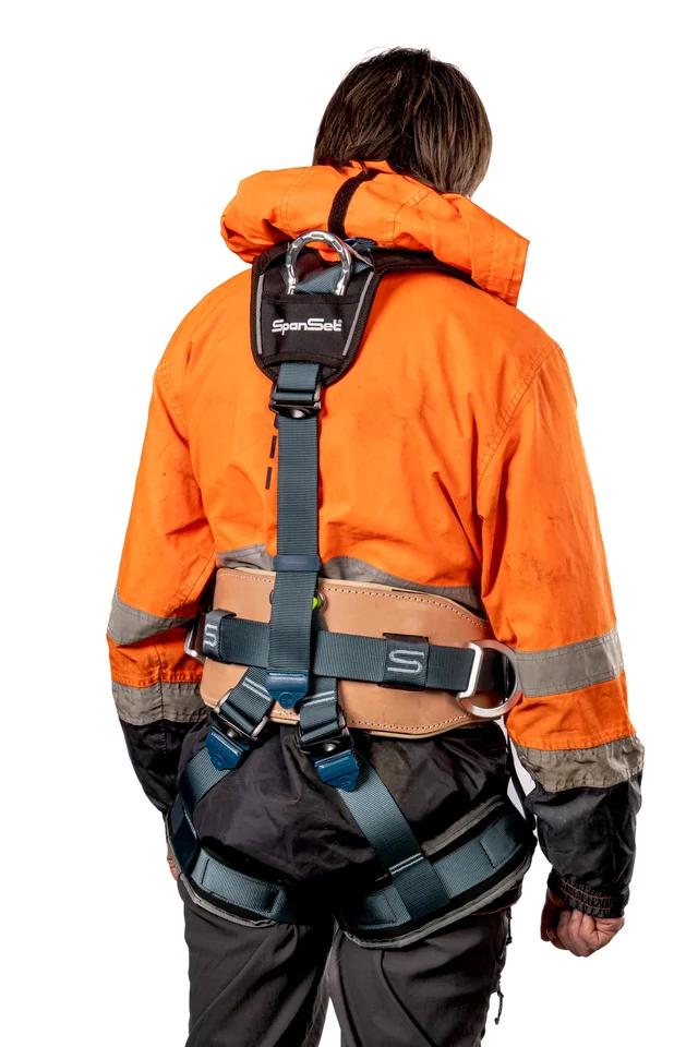 SpanSet Pole-Tech Harness M  Picture 2